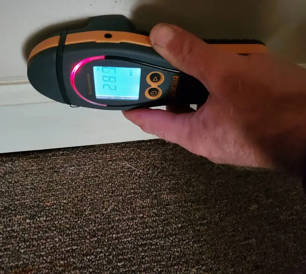 Moisture detection at baseboard during Burst Pipe Cleanup in Jackson